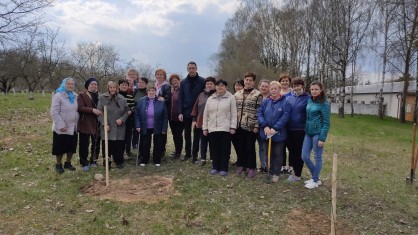 Профсоюзный комитет Брестской областной  психиатрической больницы «Могилевцы» высадили аллею из берёз.