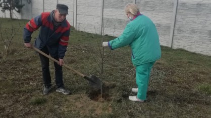 В УЗ «Брестский областной психоневрологический диспансер» занялись благоустройством территории  и наведением порядка.