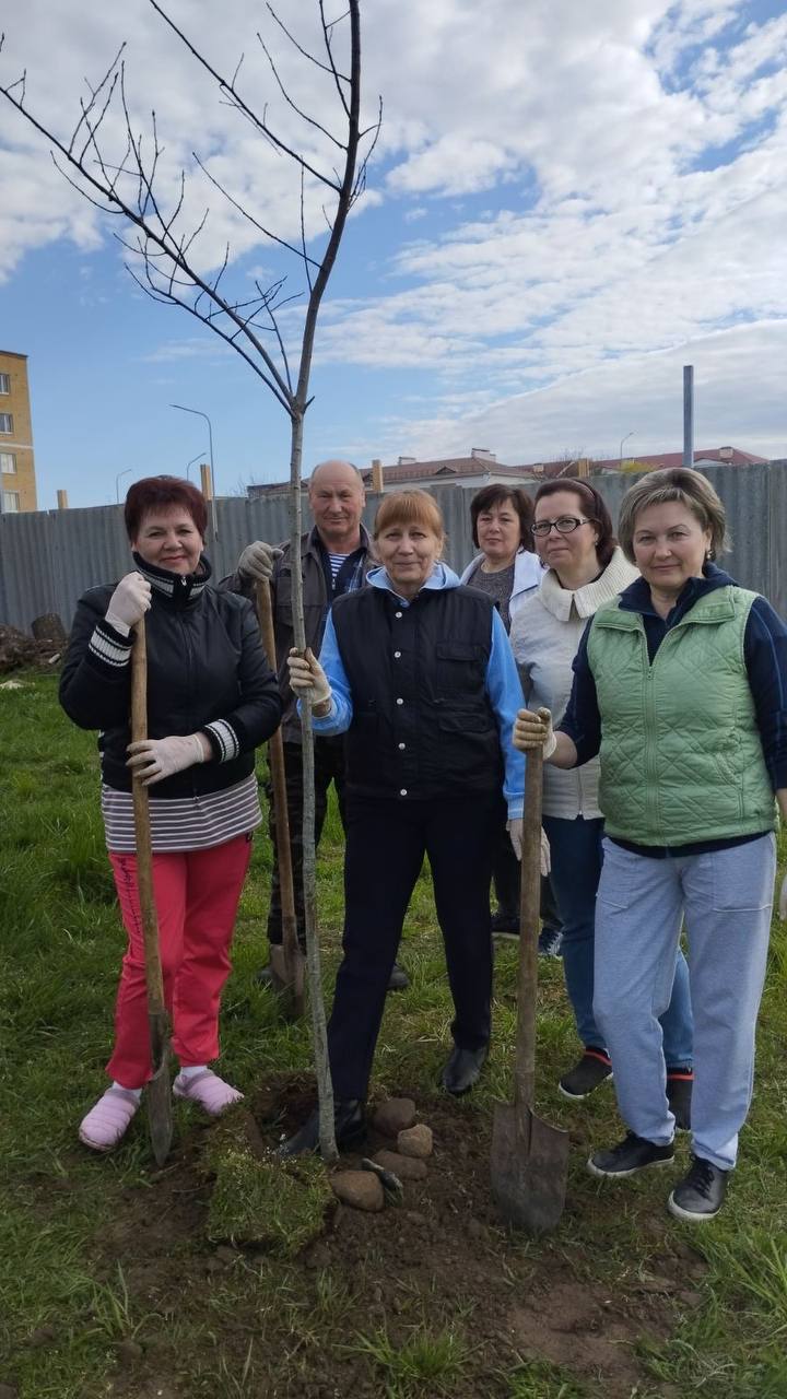 Субботники в организациях здравоохранения Брестской области (ФОТОФАКТ)