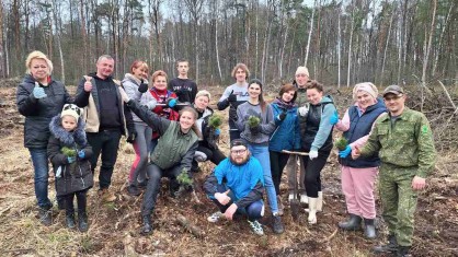 Восстановим леса вместе: профсоюзные активисты Брестской городской поликлиники №1 высадили 2 тысячи саженцев сосны