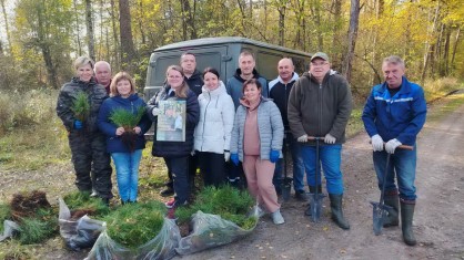 Сотрудники Пружанской больницы присоединились к экологической акции «Дай лесу новую жизнь»